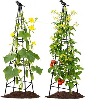 Lazzmonk 744759055521 2 Pack Garden Trellis For Climbing Plants Outdoors 70inch Tower Obelisk