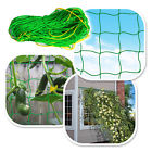 Ls0tbw-3 Strongcamel Garden Green Trellis Netting Support Climbing Bean Plant Net
