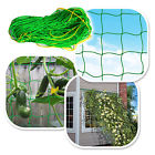Ls0tbw Strongcamel Trellis Netting Plant
