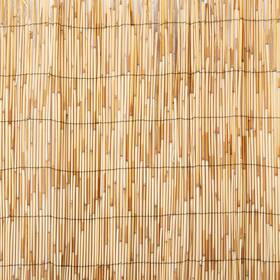 Master Garden Products 786471535738 Rf Reed Fence 2 X 14-feet Yellow 2-feet