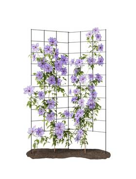 Bft-58 Meranti Home Garden 2-panel Folding Trellis - Maximize Your Space Durable Powder C Bft-58 Meranti Home Garden 2-panel Folding Trellis - Maximize Your Space Durable Powder C