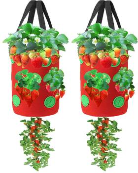 Miewslan 724687337562 2 Packs Upside Down Planter Garden Hanging Strawberry Tomato Green