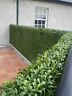 Milanpanel12unit Artificial Ivy Privacy Fencing
