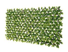 Naturae Decor Trz3672br-1220-a1 Pvc Expandable Trellis - Outdoor Privacy Screen Mint Leaves
