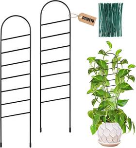 Oyoeetd 705353919862 17.5 Inch Indoor Plant Trellis For Climbing Plants Small Metal Garden F