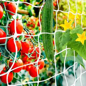 Ps039kr Paradi Star 6x15ft Heavy Duty Polyester Plant Climbing Net Mesh