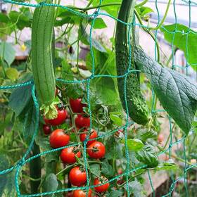 Pd21003 Pdgrow Trellis Netting Climbing Plant Support Net Garden Pea Bean Neting He