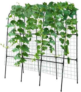Pkbd-2025 Pkbd 313037668656 Tall Garden Arch Trellis For Climbing Plants Outdoor 4 Ft Polyethylene-coa