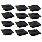 Pl251b Garden Sunlight 12 Pack 875518004525