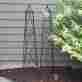 Plants01 Climbing Garden Trellis Metal Plants Flower Vines Yard Support 706001425469