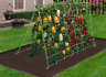 Pn5379 Dalen Spring Vegetable Gardening Trellis Kit Brand New 016069005979 Pn5379 Dalen Spring Vegetable Gardening Trellis Kit Brand New 016069005979