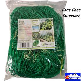 Queenbird 683011236129 5.9ft High X 32.8ft Long Green Garden Trellis Netting Heavy Duty Climbing Plants