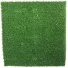 Rgm44 Envylawn Envypet Artificial Turf