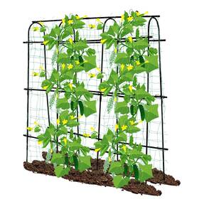 Scendor 975210900904 Cucumber Trellis For Raised Beds 70.8 L X 11.8 W H Garden