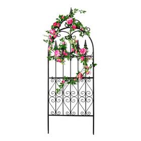 Scendor Garden Ggt60bc Trellis 60 Inch X 21.7 For Climbing Plants 5ft Metal Iron Wire Vi