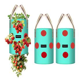 Spondwild 850075990214 3 Pack Gallon Hanging Strawberry Planter Bags 12 Green