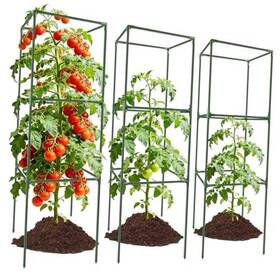 Cages-01 Sprintgy 3 Pack Square Tomato Cages 49ftft Tall Heavy Duty Steel 3pcs