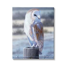 Stupell Industries 196216913842 Serene Barn Owl Perched Snow Dusted Fence Design By Alan Weston