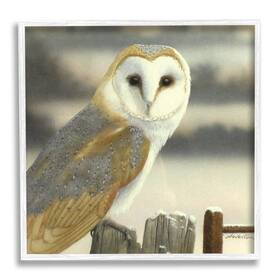 Stupell Industries 196216914306 Barn Owl Gazing Perched Niveous Rural Fence Design By Alan Weston White Fra