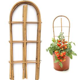 Swangsa Zy014 10 Pack Bamboo Trellis For Climbing Plants 16 Inch U-shape Plant