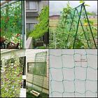 T228-2 Amgate Garden Nylon Trellis Netting Plant Support For Climbing Plants