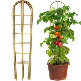 Taoskai Tku01 5 Pack 4 Feet Ushape Bamboo Trellis Natural For Climbing Plants V