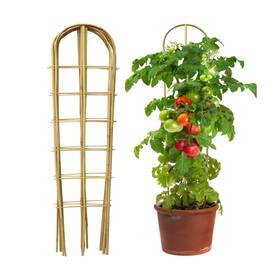 Tku02 Taoskai 3 Pack 4 Feet U-shape Bamboo Trellis Natural Garden Trellis... Fast Ship Tku02 Taoskai 3 Pack 4 Feet U-shape Bamboo Trellis Natural Garden Trellis... Fast Ship