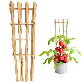 Tkv02 Taoskai 10 Pack 16 Inch Bamboo Trellis For Climbing Plants Fan-shaped Natural Garden Ladder