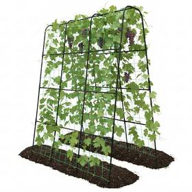 Trellume Tl-ptj-020-tr Cucumber Trellis 62.4 Inch X50 - U-shape Steel Support For Climbing Plants