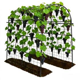 Trellume Tl-ptj-040-tr Garden Arch Trellis For Climbing Plants Outdoor - 83 Inch H 71 W 43 L Large Rus