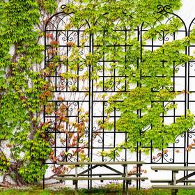 Tunearary W1586pyx&l1 7.2 Ft. Black Outdoor Metal Rustproof Garden Trellis 2-pack