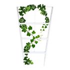 Vtr1-s Sunscape Heavy Duty Vine Trellis