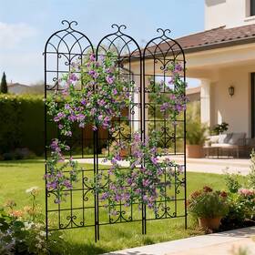 Wisfor Xyunte2025506248 3 Packs Tall Metal Garden Trellis For Climbing Plants Vegetables Vines Rustproof