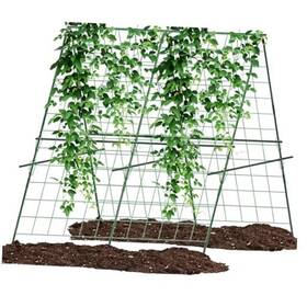 Xinhui X120azijia1p Cucumber Trellis A-shape Garden For Raised Beds With Climbing