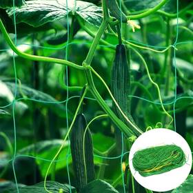 Yoetspds 739804157183 Garden Netting And Trellis Net For Climbing Plants Grape Tomato Gre