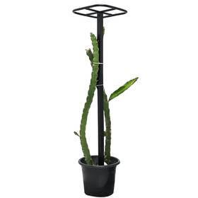 Yohsnor 4-dragon Dragon Fruit Trellis 50x12 Inch Metal Vertical Support Frame For Climbing Plants