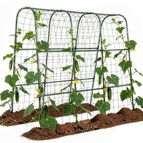 Xgm-ux-lv-4g3d Zatro Cucumber Trellis For Raised Bed Garden Climbing 48 Inch L X 24 W H
