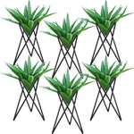 6 Pcs Black Metal Air Plant Holder Live Desk Display Rack Office Home Decor. Fixed Price $25.88.