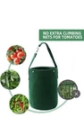 Betereap Tomato Grow Bag 2-PACK Heavy Duty Hanging Planter Green Felt. Fixed Price $14.99.