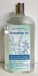 Home & Body Co. Eucalyptus Sage Wash Foam Bath With Aloe Vera 28 Fl Oz. Fixed Price $29.99.