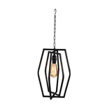 Gerson 28" Black Geometrical Iron Cage Electric Pendant Hanging Lamp Edison Bulb. Fixed Price $52.91.