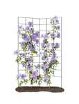 Meranti Home + Garden 2-PANEL Folding Trellis 35X58 Steel Frame Black. Fixed Price $89.99.
