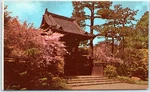 Postcard - Oriental Tea Garden, Golden Gate Park San Francisco, California. Fixed Price $8.39.