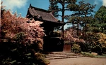 Oriental Tea Garden, Golden Gate Park, San Francisco Postcard. Fixed Price $19.90.