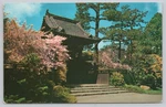 Vintage San Francisco Oriental Tea Garden Gate Postcard Posted 1960S. Fixed Price $6.39.
