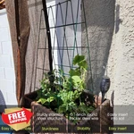 Rifny Cucumber Trellis 2 Pcs Black Metal A-frame For Climbing Plants. Fixed Price $134.99.