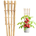 10 Pack 16" Bamboo Trellis For Climbing Plants, Fan-shaped Natural Garden Lad.... Fixed Price $48.53.