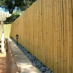 Bamboo Fencing Thick Rolled Backyard Patio Garden Privacy Screen 4 X 8 Ft Fence. Fixed Price $159.89.