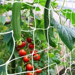 Trellis Netting, Canagrow Heavy-duty Garden Plant For Climbing. Fixed Price $12.81.