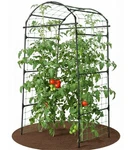 79" Garden Trellis Arch For Climbing Plants Tall Outdoor Metal. Fixed Price $81.31.
